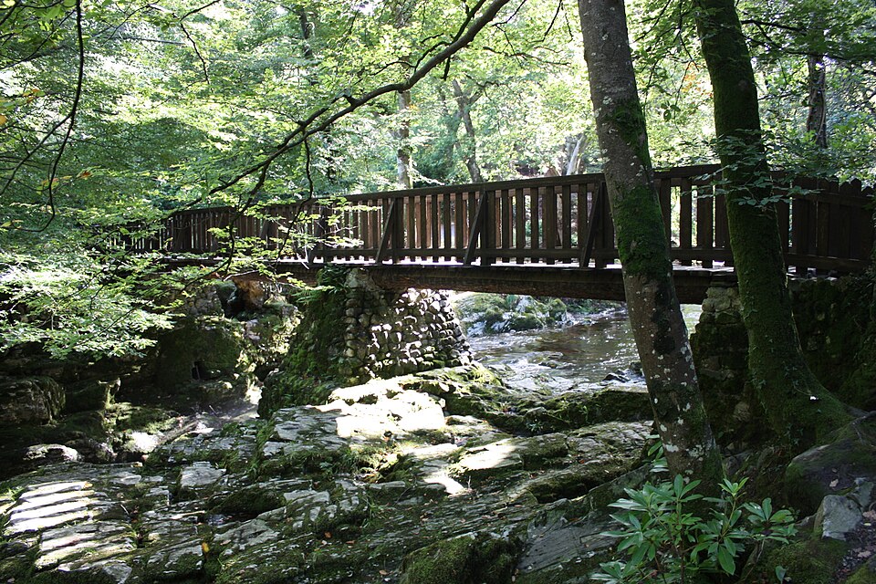 Tollymore Forest Park, County Down, Northern Ireland